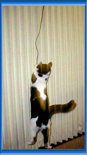 ���݂�u�R�[�h�͂����I�v