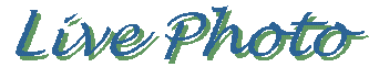 Live Photo